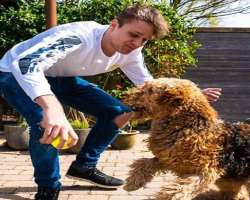 The star has a soft corner in his heart for animals and has adopted a dog named Kelso. He celebrated his dog's sixth birthday in June 2020.